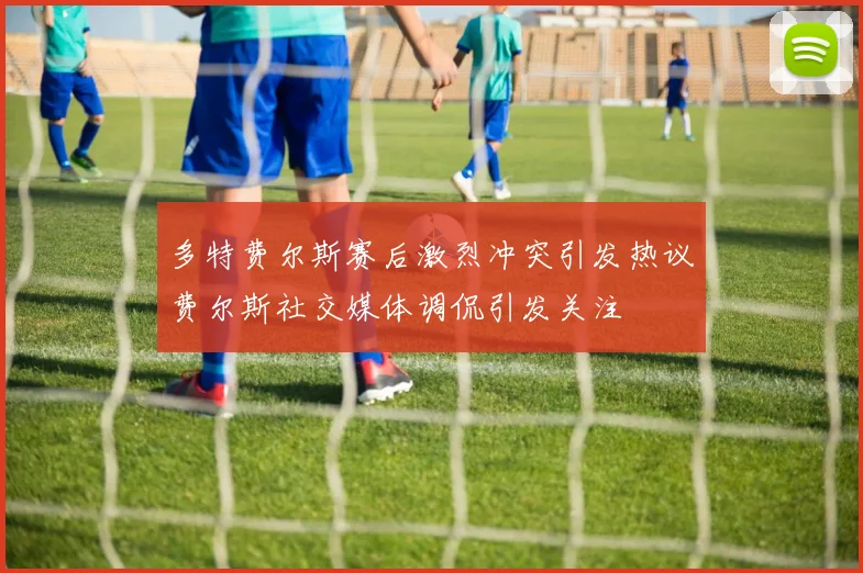 多特费尔斯赛后激烈冲突引发热议费尔斯社交媒体调侃引发关注